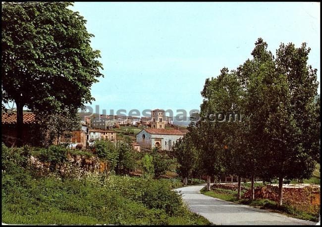 Vista parcial de mollo en gerona