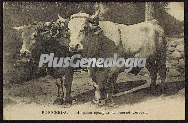 Foto antigua de PUIGCERDA