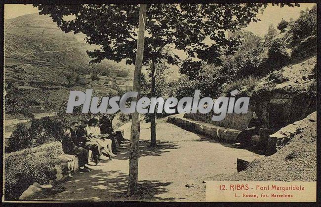 Font margarideta en ribes (girona)