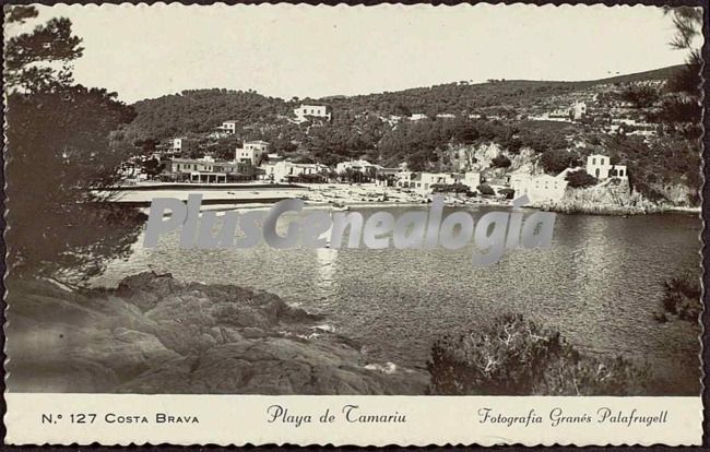 Vista parcial de la playa de tamariu (girona)