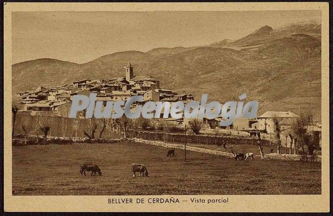 Vista parcial de bellever de cerdana (lleida)