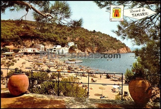 Vista parcial de la cala de tamariu (tarragona)