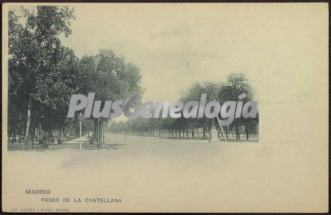 Paseo de la Castellana en Madrid