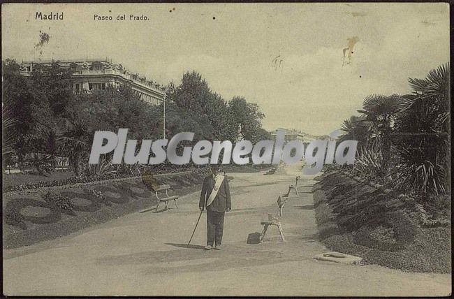 Paseo del Prado en Madrid