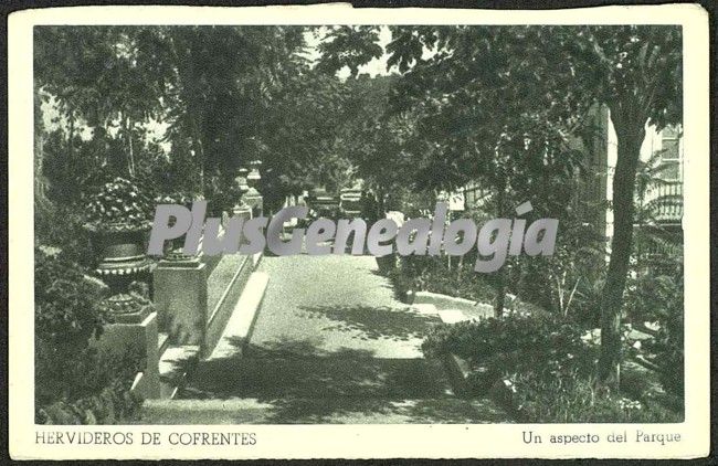 Foto antigua de HERVIDEROS DE COFRENTES
