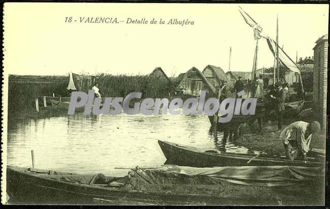 Detalle de la albufera de valencia