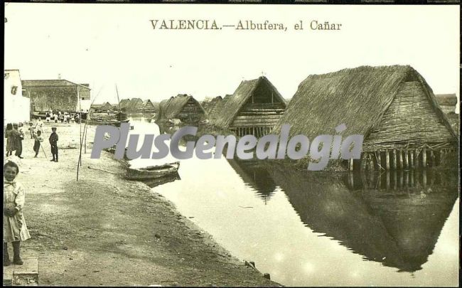 El cañar de la albufera de valencia