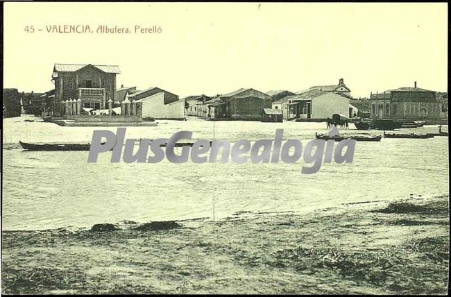 Perelló en la albufera de valencia