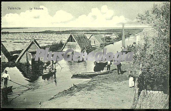 La albufera de valencia