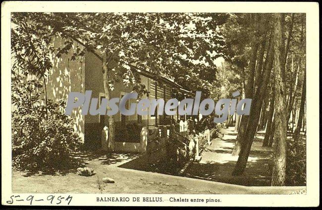 Chalets entre pinos en el balneario de bellus de valencia