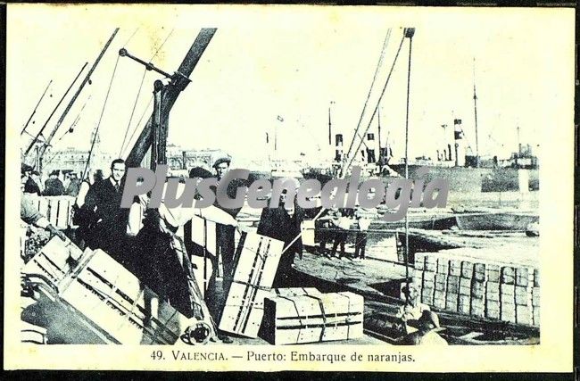 Emabarque de naranjas en el puerto de valencia