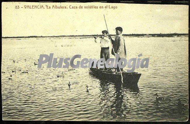 Caza de volátiles en el lago de la albufera de valencia