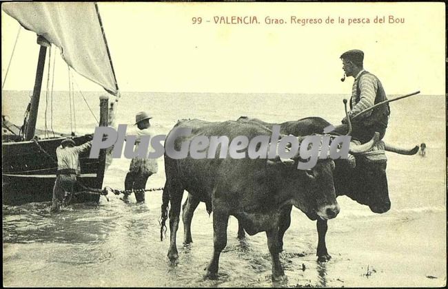 Regreso de la pesca del bou en el grao de valencia