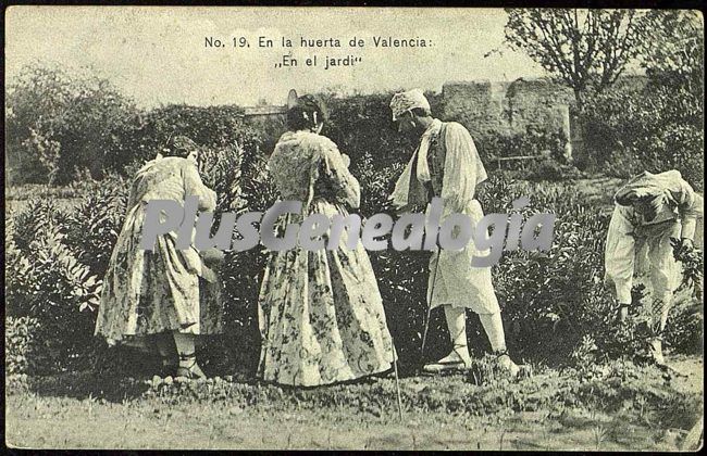 En el jardín en la huerta de valencia