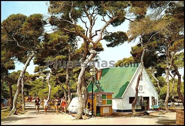 Camping en el saler (parque natural de la albufera - valencia)