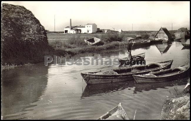 La albufera (valencia)