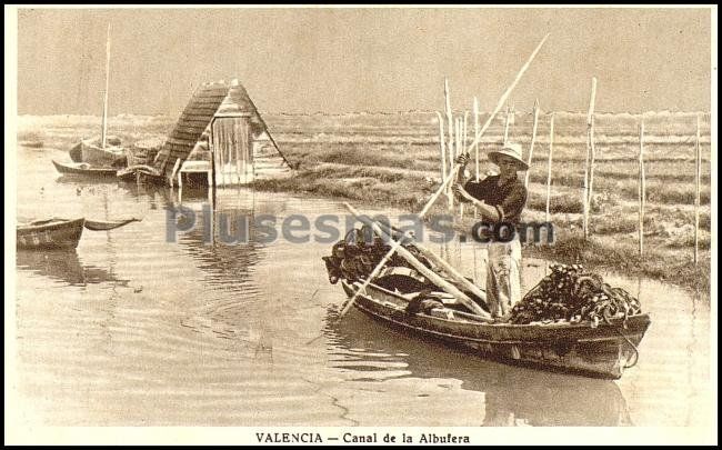 Canal de la albufera de valencia