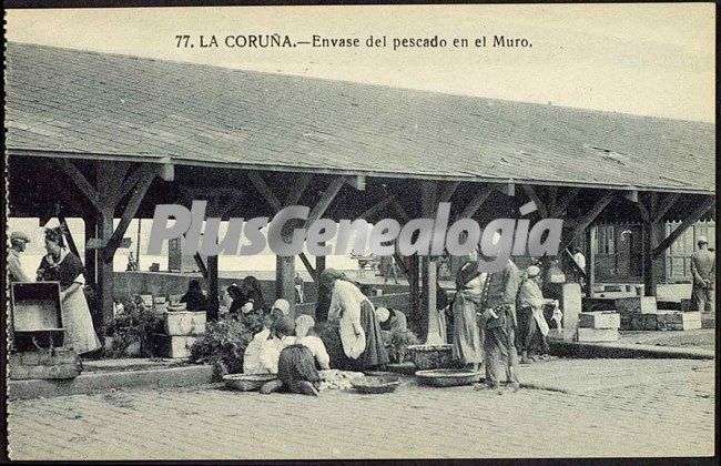 Envase del pescado en el muro. la coruña