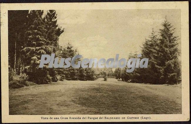 Vista de una gran avda. del parque del balneario, guitiriz (lugo)