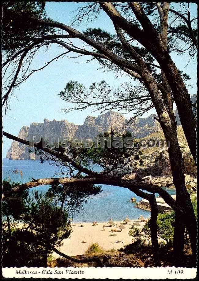 Cala san vicente (mallorca)