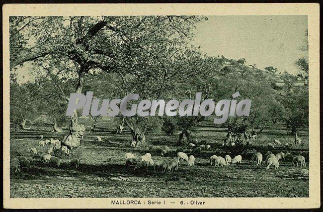 Foto antigua de PALMA DE MALLORCA