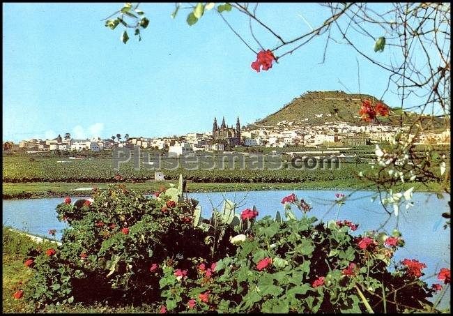 Vista parcial de arucas (las palmas)