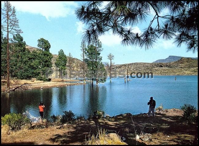 Presa de las niñas (isla de gran canaria)