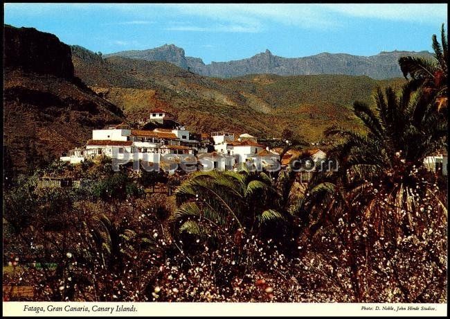 Fataga población del municipio san bartolomé de tirajana (las palmas)