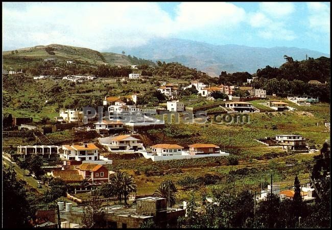 Monte coello en santa brigida (las palmas)