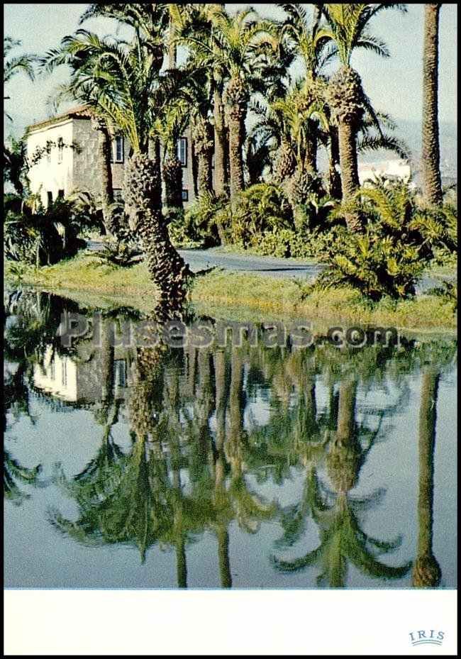 Alrededores de santa brigida (las palmas)