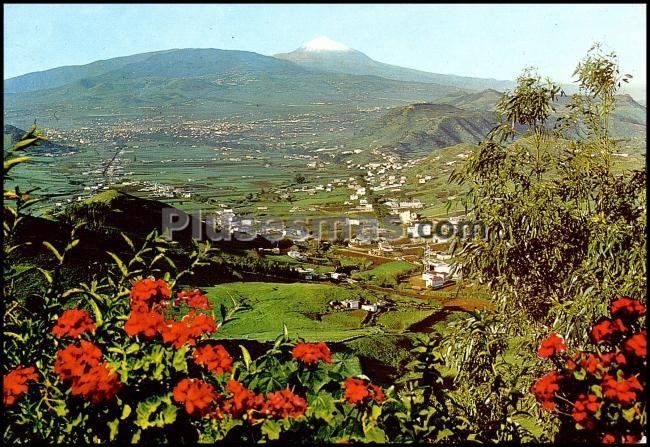 Las mercedes y vega lagunera (santa cruz de tenerife)