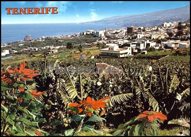 Los realejos (santa cruz de tenerife)