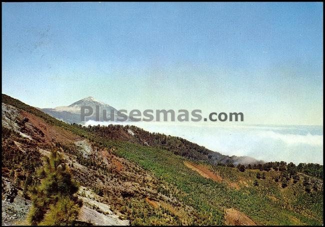 Paisaje del monte de la esperanza de santa cruz de tenerife