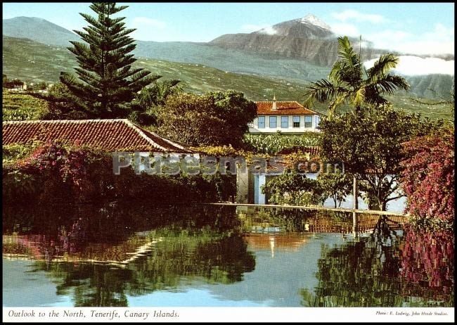 Norte de la isla formado por plataneras, casas blancas y dominándolo el teide de santa cruz de tenerife