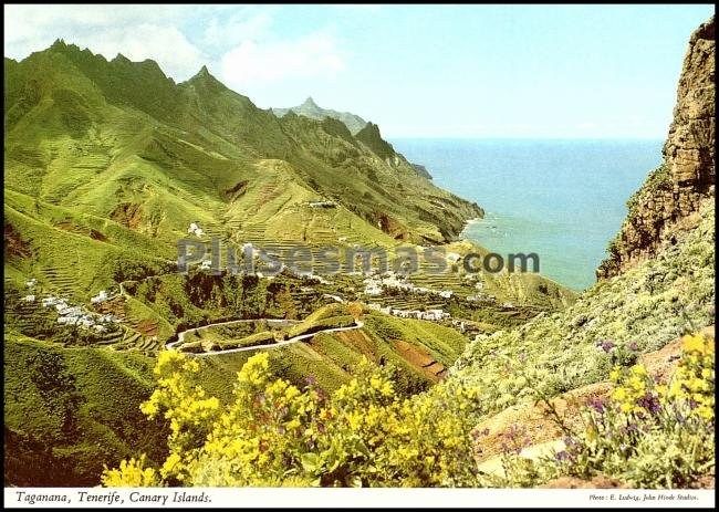 Cumbres de taganana (santa cruz de tenerife)