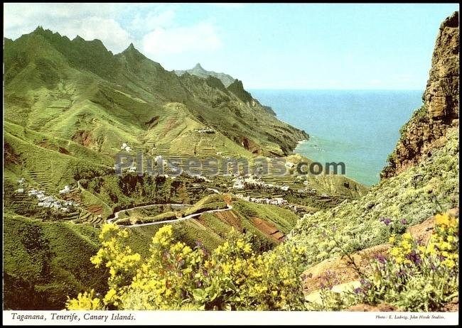 Paisaje de taganana (santa cruz de tenerife)