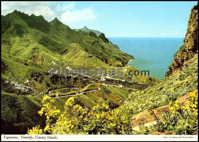 Vallecitos floridos, apacibles y ensoñadores de taganana (santa cruz de tenerife)