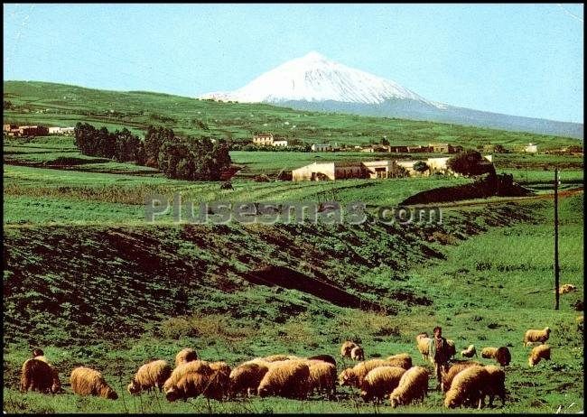 Paisaje de tenerife (islas canarias)