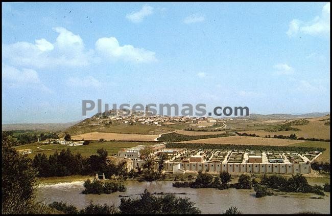 Vista de mendigorría (navarra)