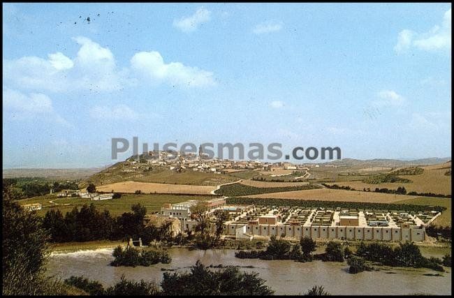 Vista aérea de mendigorria (navarra)