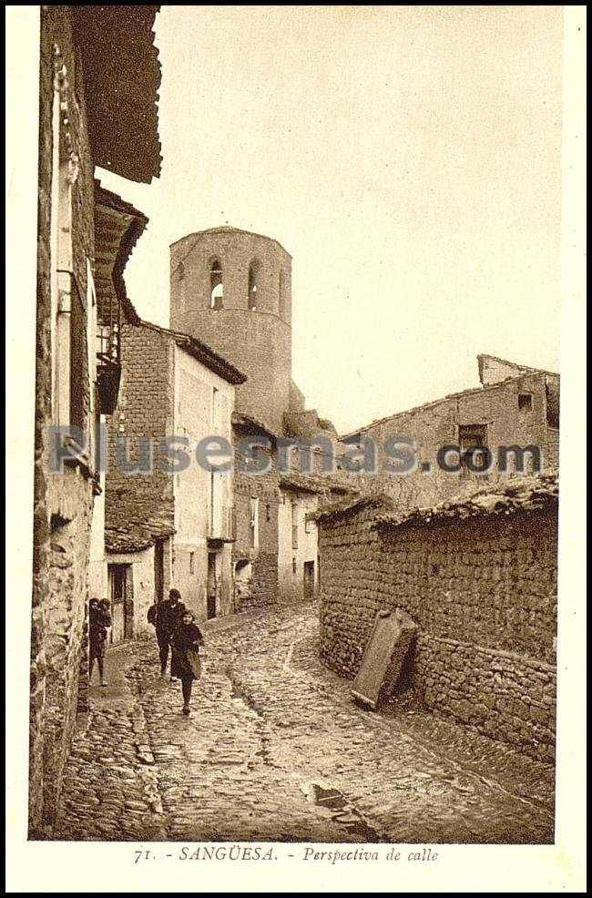 Perspectiva de la calle en sangüesa (navarra)