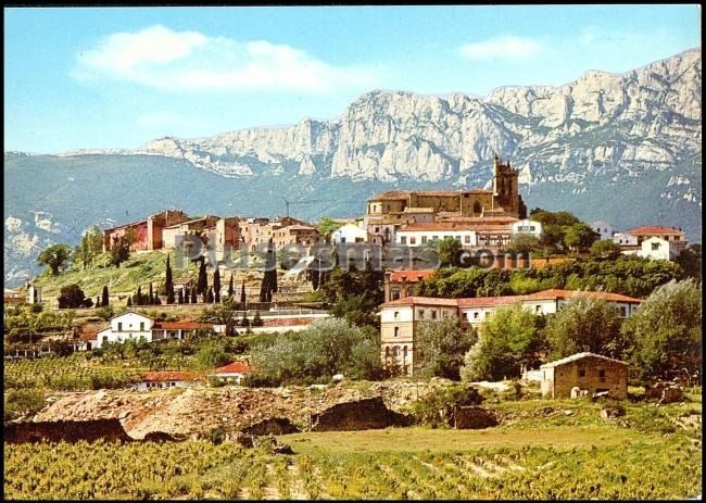 Vista sur de laguardia (álava)