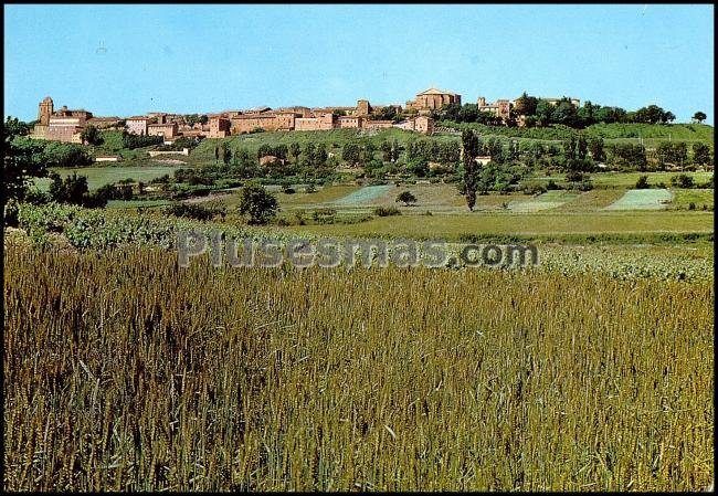 Vista de laguardia en la rioja alavesa (álava)