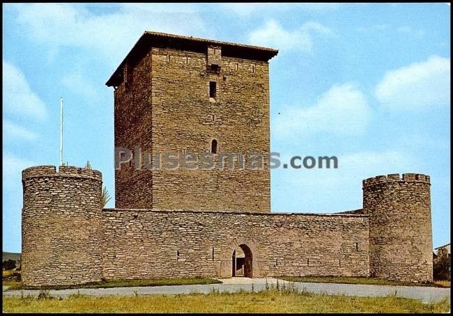 Castillo de mendoza (álava)
