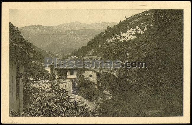 Carreña de cabrales (asturias)