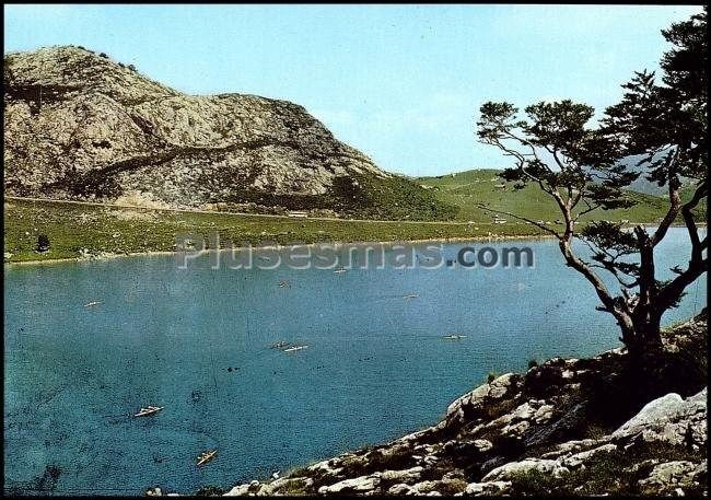 Lago enol en los lagos de covadonga (asturias)
