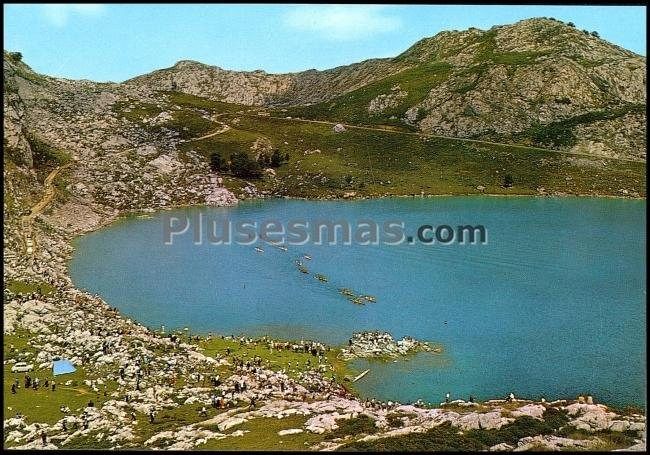 Lago enol es uno de los dos lagos de covadonga (asturias)