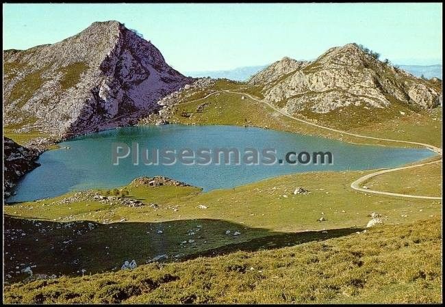 Lago enol en los lagos de covadonga (asturias)