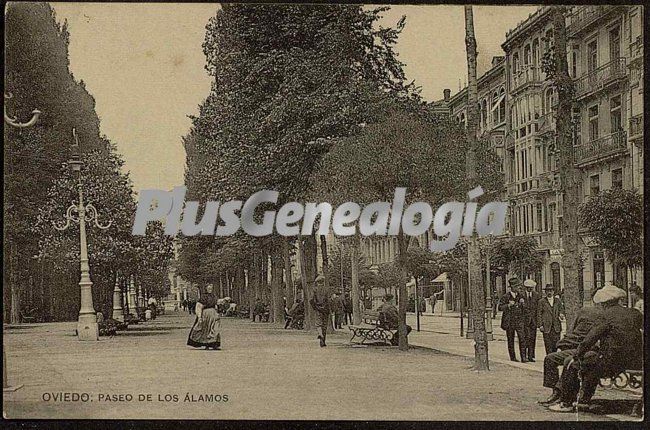 Paseo de los álamos, oviedo (asturias)