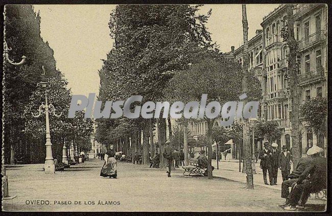 Paseo de los álamos, oviedo (asturias)